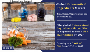 Nutraceutical Ingredients Market