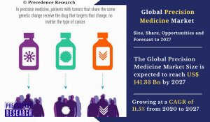 Precision Medicine Market