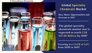 Specialty Chemicals Market