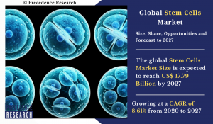 Stem Cells Market