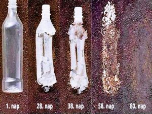 Biodegradable Plastic Market