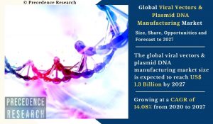 Viral Vectors & Plasmid DNA Manufacturing