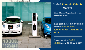 Electric Vehicle Market