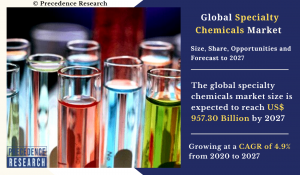 Specialty Chemicals