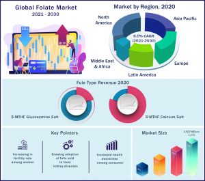 Folate Market