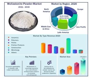 Wollastonite Powder Market